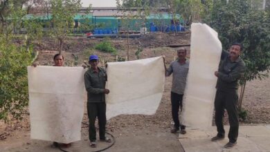 Photo of IIT Bombay–Coal India CSR Project ‘Jeevodaya’ Achieves Breakthrough in Ethical Silk Production