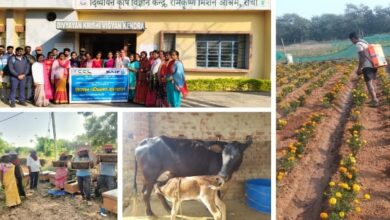 Photo of CCL’s CSR: Multidimensional Achievements Towards Inclusive Development, Social Empowerment, and a Sustainable Future