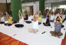 Photo of BCCL Launches Week-Long Yoga Camp at Koyla Bhawan Ahead of International Yoga Day